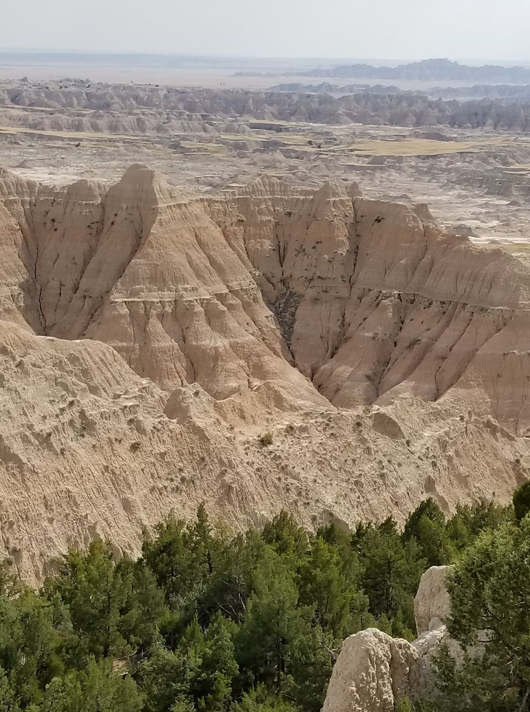 Sturgis surrounding area